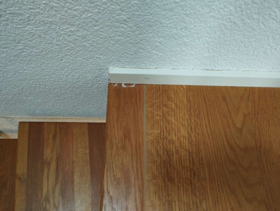 ameisen_vertreiben_bekaempfen_entfernen