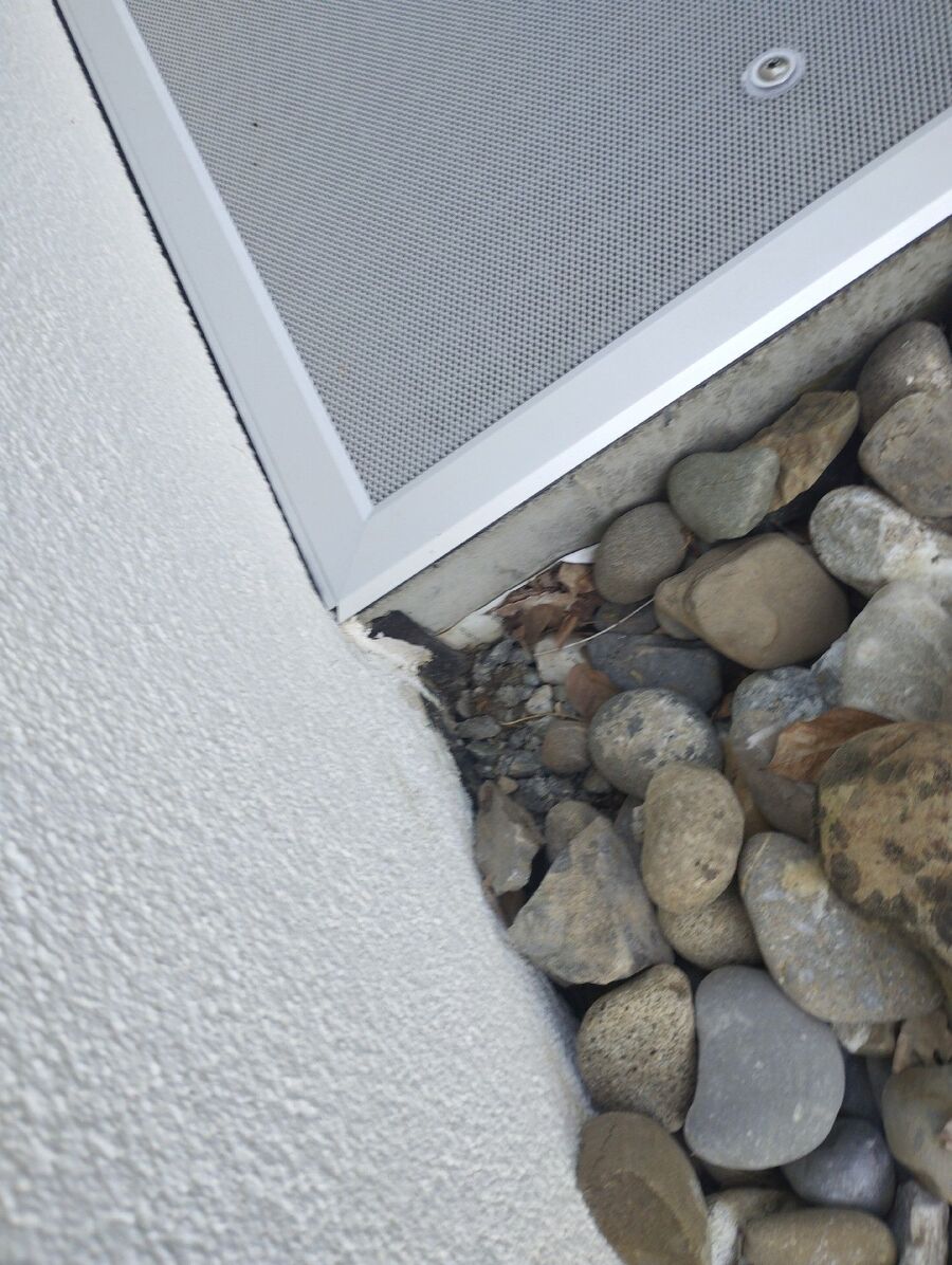 ameisen_vertreiben_bekaempfen_entfernen