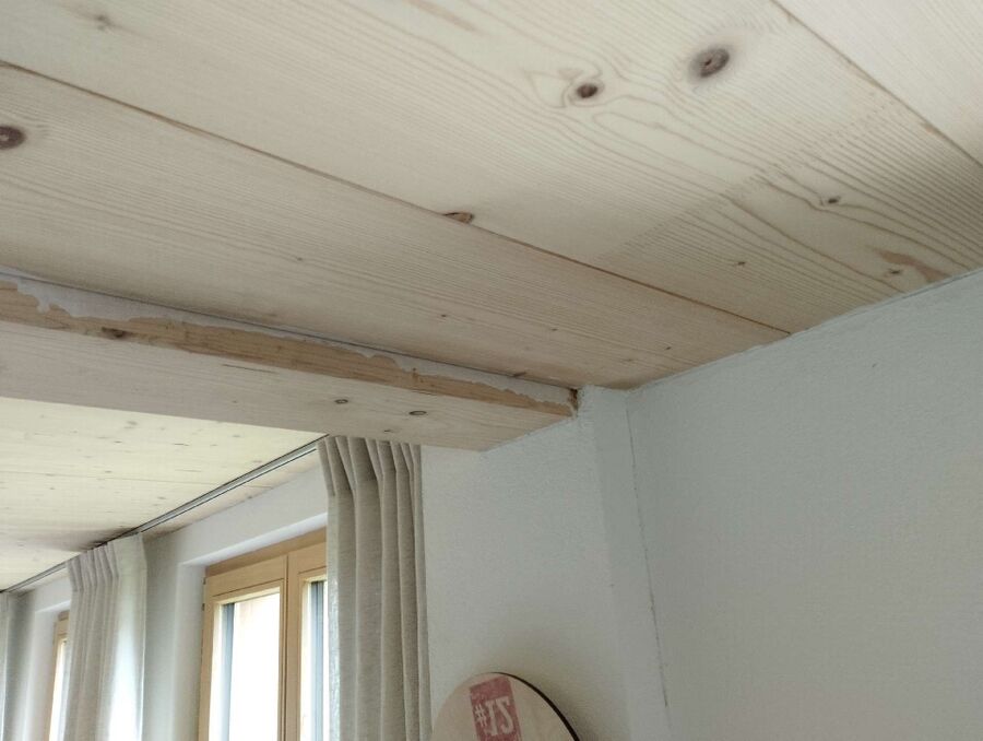 ameisen_vertreiben_bekaempfen_entfernen