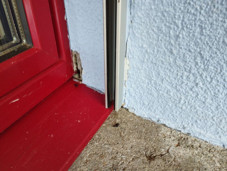 ameisen_vertreiben_bekaempfen_entfernen