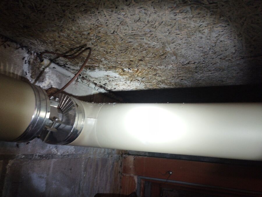 ameisen_vertreiben_bekaempfen_entfernen