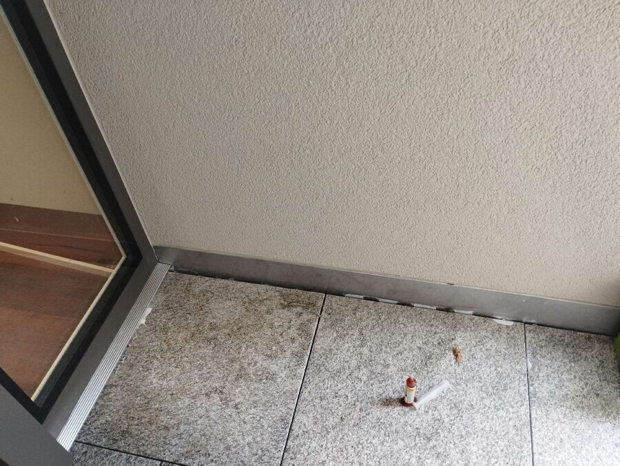 ameisen_vertreiben_bekaempfen_entfernen