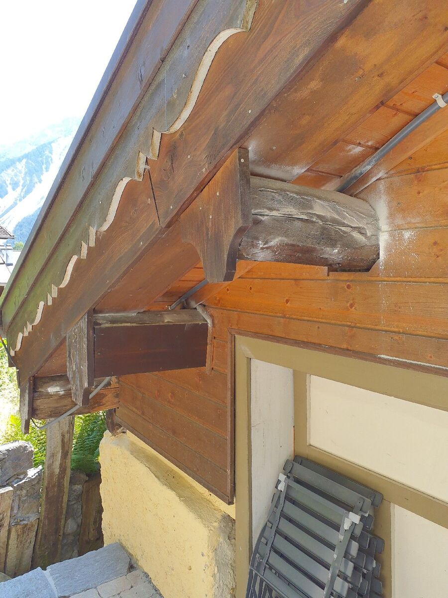 ameisen_vertreiben_bekaempfen_entfernen