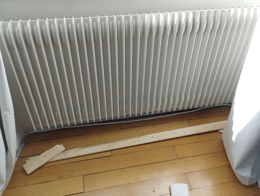 ameisen_vertreiben_bekaempfen_entfernen