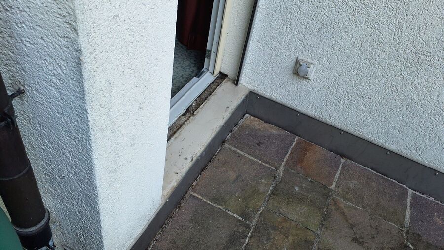 ameisen_vertreiben_bekaempfen_entfernen