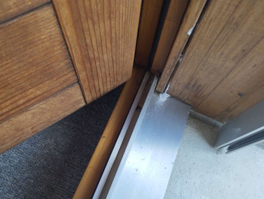 ameisen_vertreiben_bekaempfen_entfernen