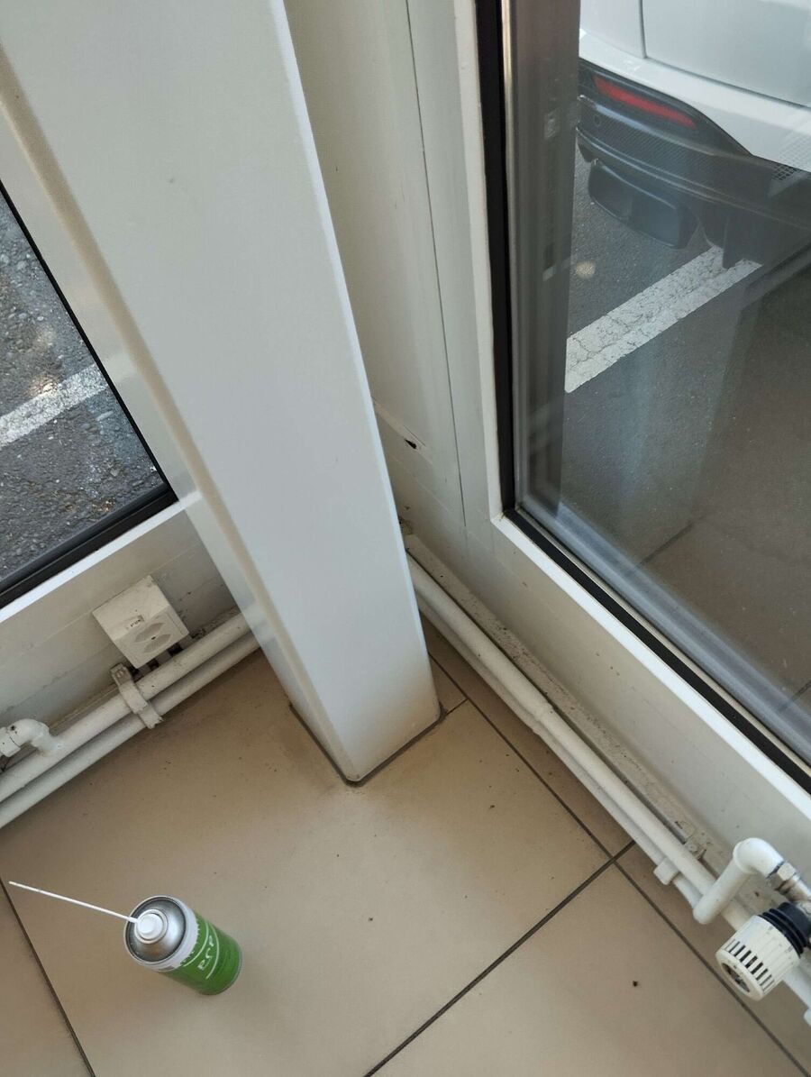 ameisen_vertreiben_bekaempfen_entfernen