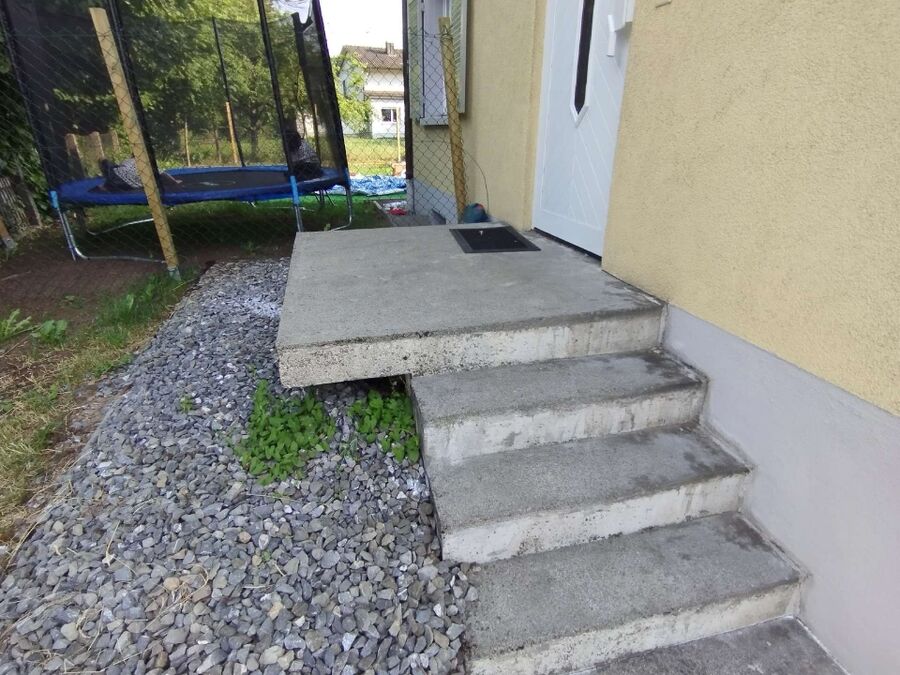 ameisen_vertreiben_bekaempfen_entfernen