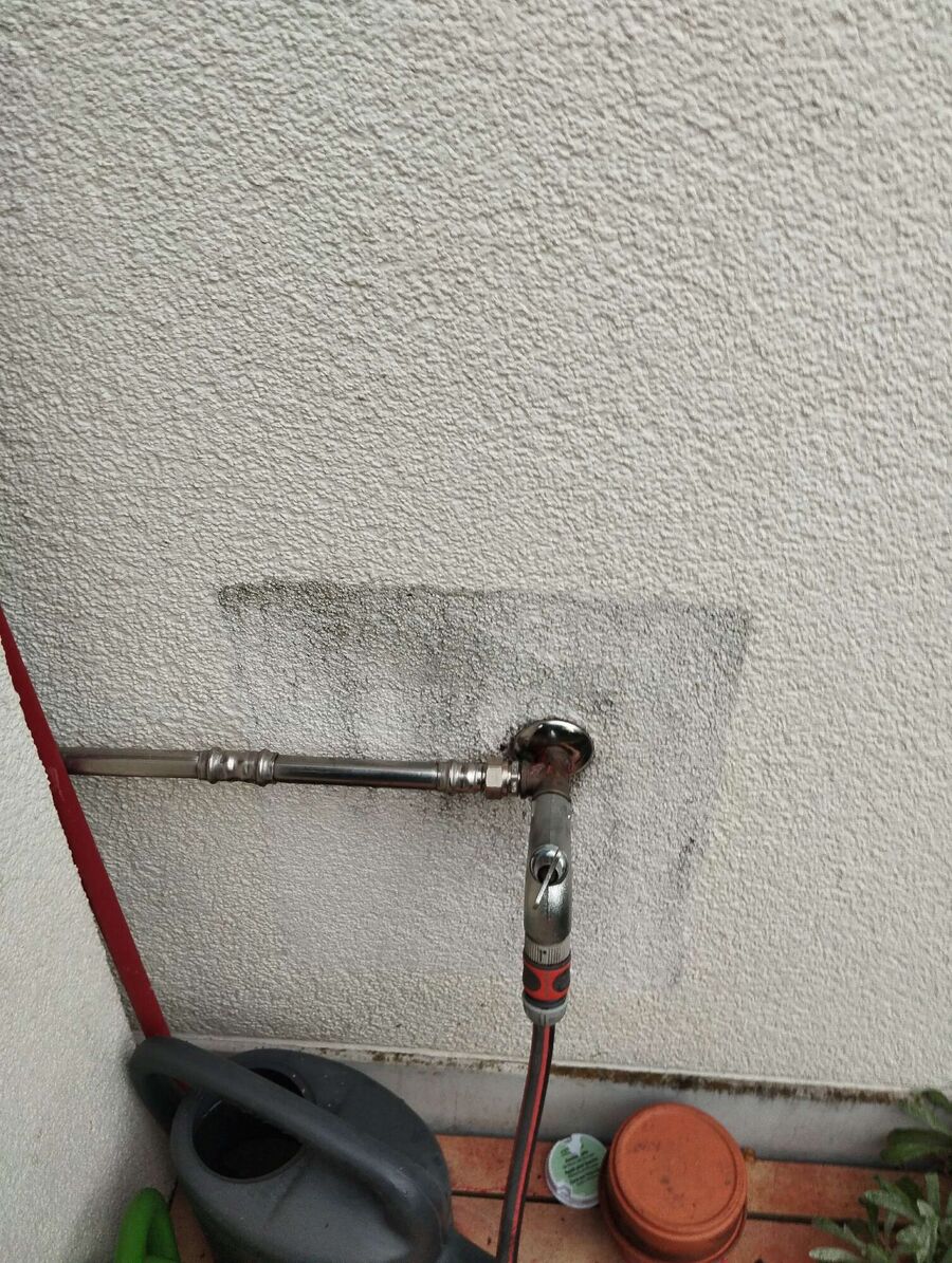 ameisen_vertreiben_bekaempfen_entfernen