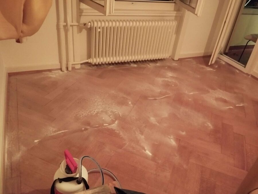 ameisen_vertreiben_bekaempfen_entfernen