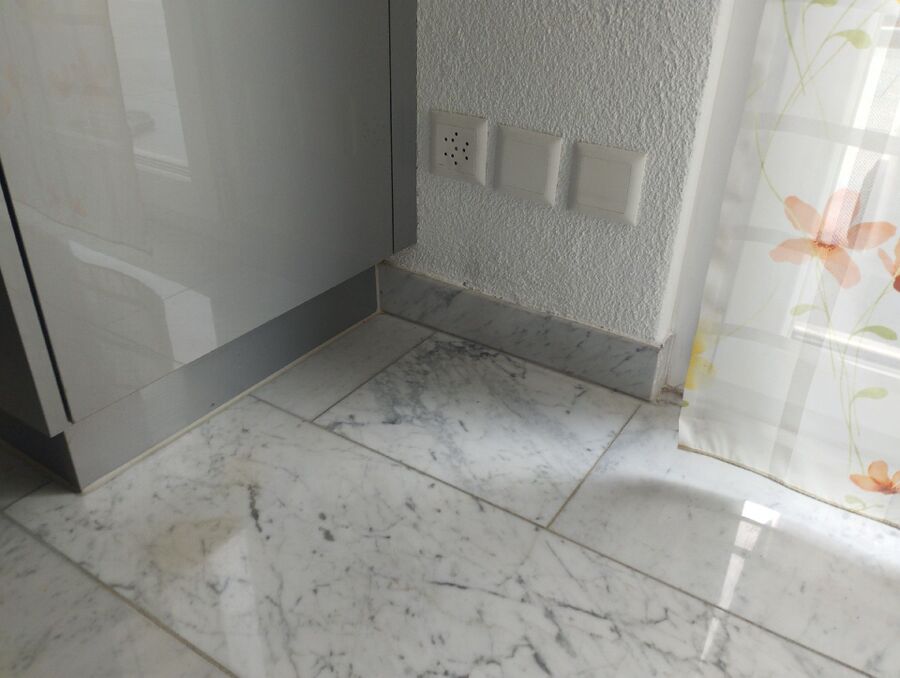 ameisen_vertreiben_bekaempfen_entfernen