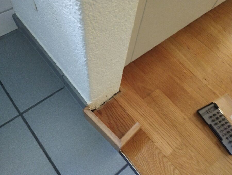 ameisen_vertreiben_bekaempfen_entfernen