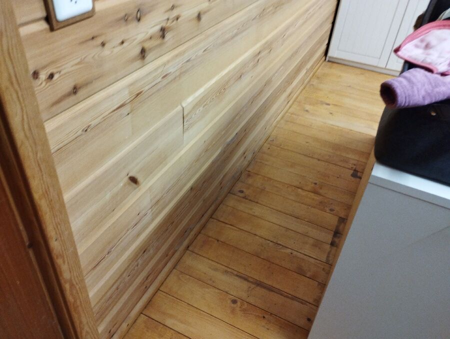 ameisen_vertreiben_bekaempfen_entfernen