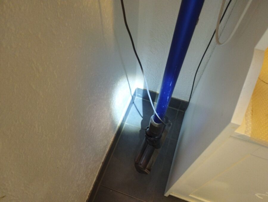 ameisen_vertreiben_bekaempfen_entfernen