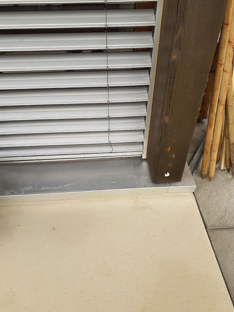 ameisen_vertreiben_bekaempfen_entfernen