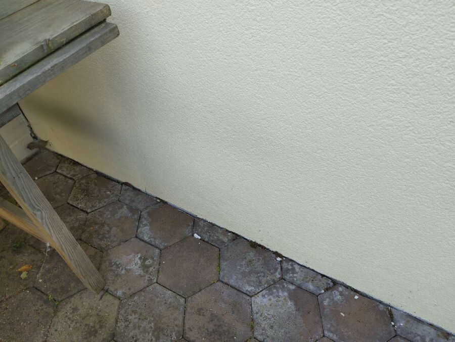 ameisen_vertreiben_bekaempfen_entfernen