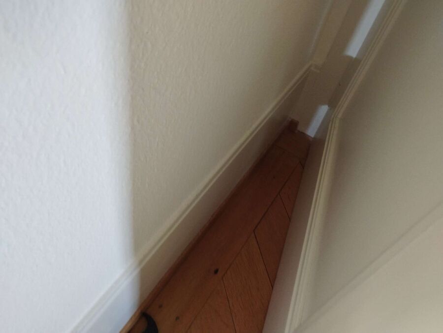 ameisen_vertreiben_bekaempfen_entfernen