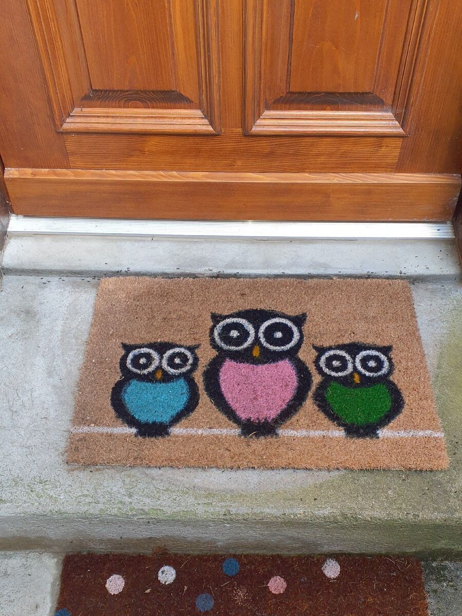 ameisen_vertreiben_bekaempfen_entfernen