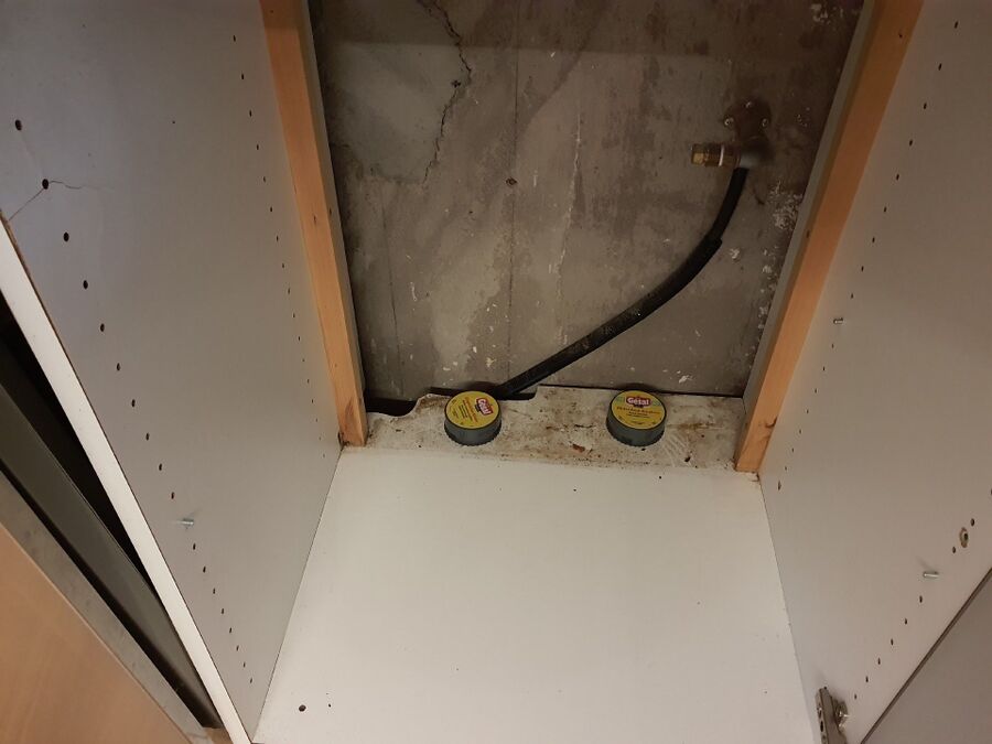 ameisen_vertreiben_bekaempfen_entfernen