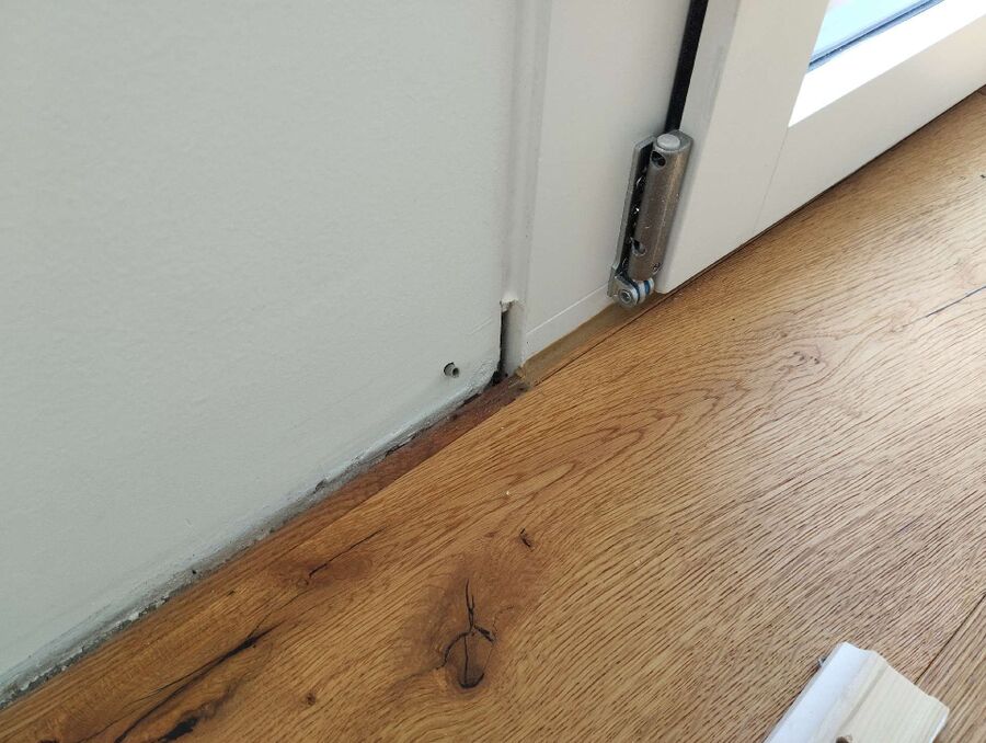 ameisen_vertreiben_bekaempfen_entfernen