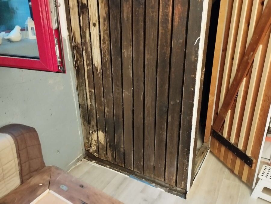 ameisen_vertreiben_bekaempfen_entfernen