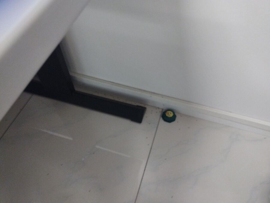 ameisen_vertreiben_bekaempfen_entfernen