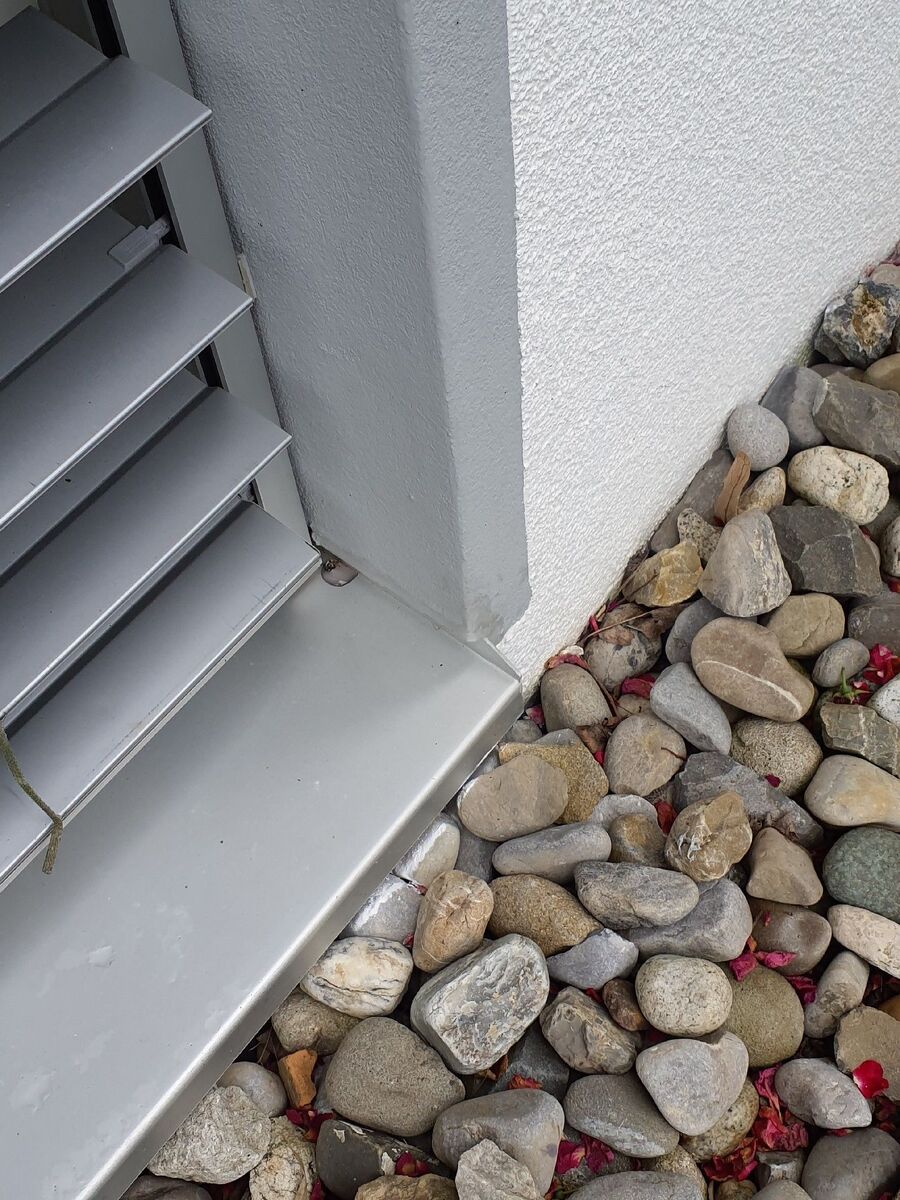 ameisen_vertreiben_bekaempfen_entfernen