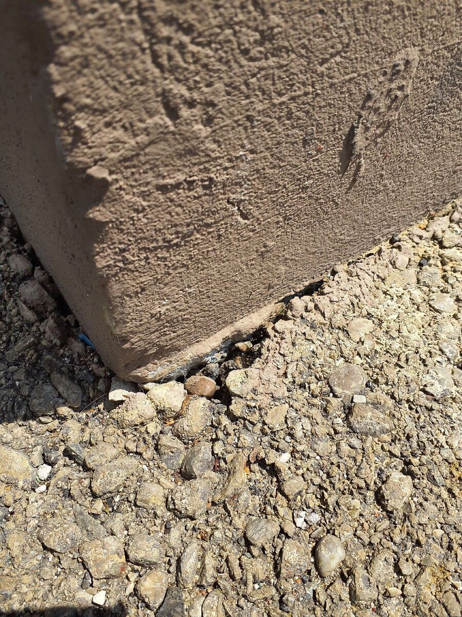 ameisen_vertreiben_bekaempfen_entfernen