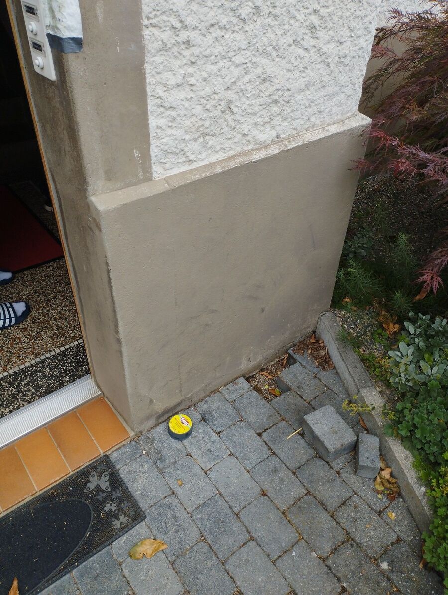 ameisen_vertreiben_bekaempfen_entfernen