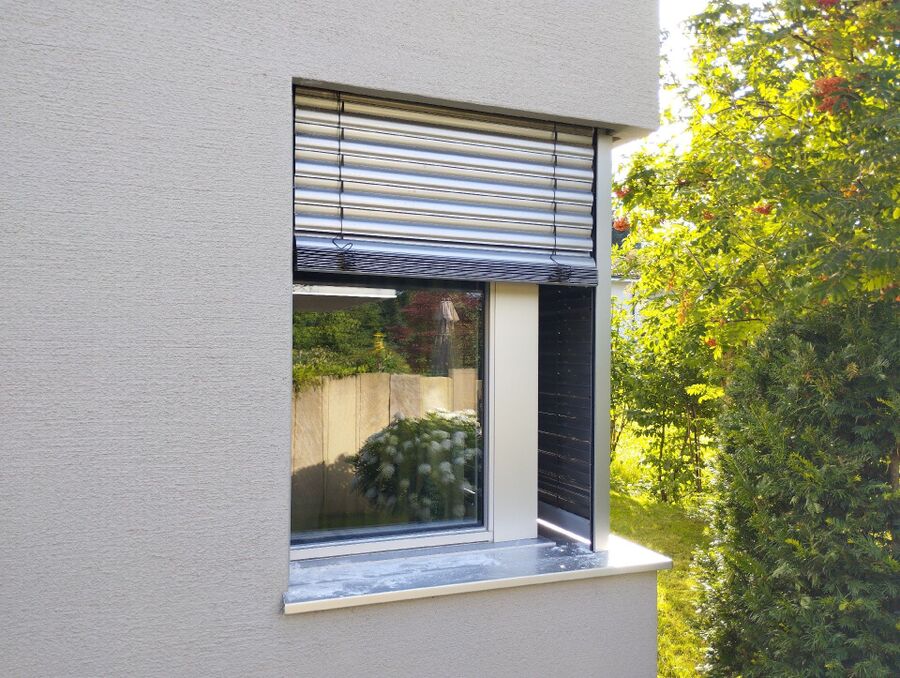 ameisen_vertreiben_bekaempfen_entfernen