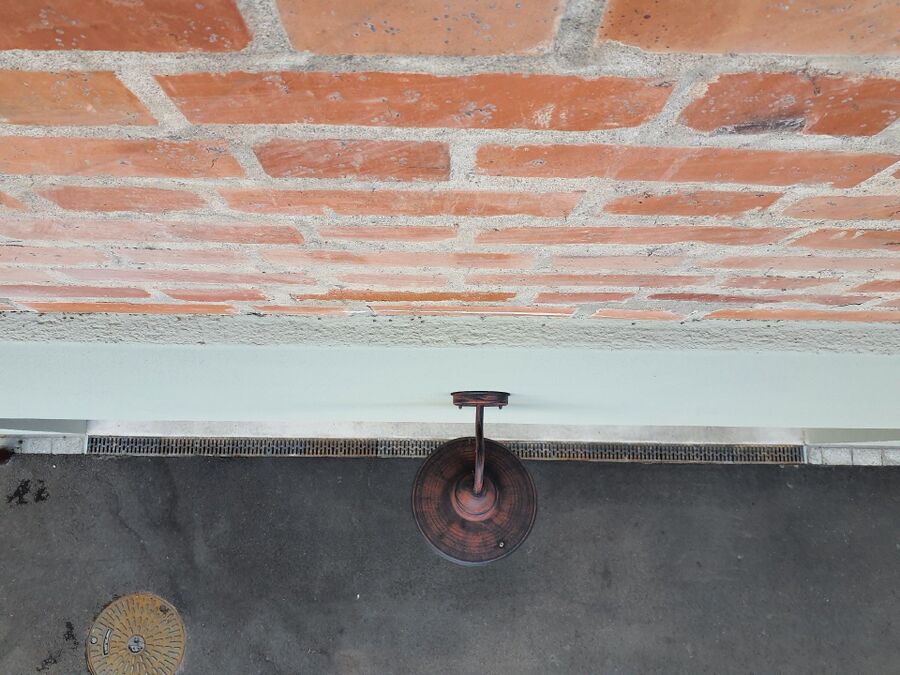 ameisen_vertreiben_bekaempfen_entfernen