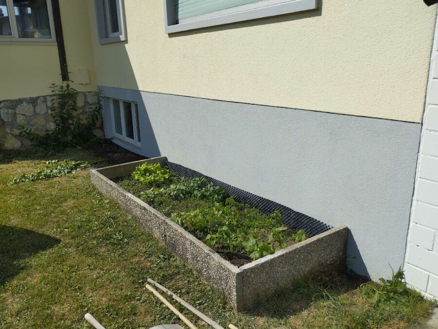 ameisen_vertreiben_bekaempfen_entfernen