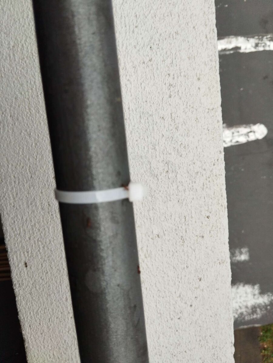 ameisen_vertreiben_bekaempfen_entfernen