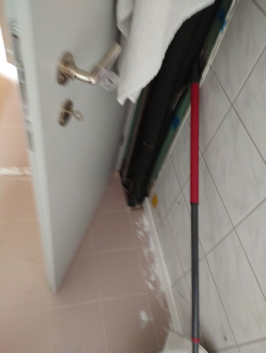 ameisen_vertreiben_bekaempfen_entfernen