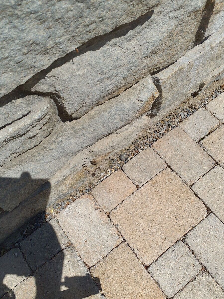 ameisen_vertreiben_bekaempfen_entfernen