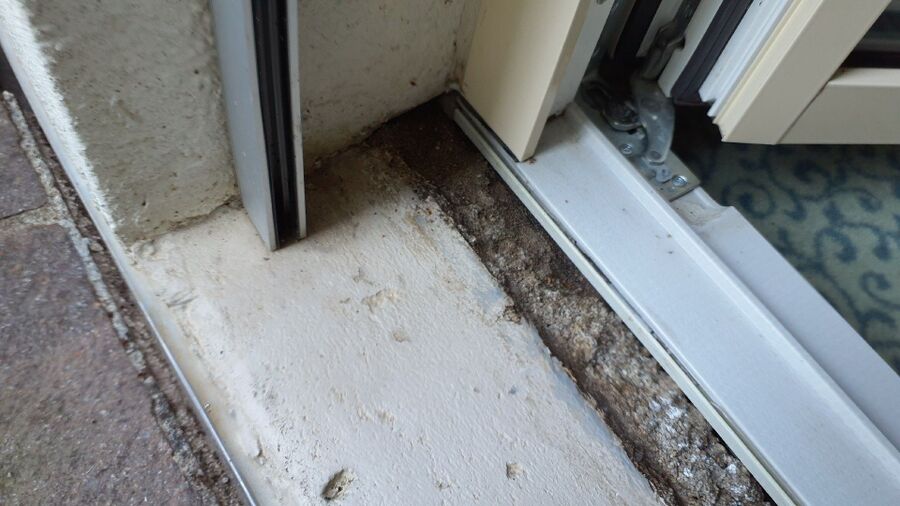 ameisen_vertreiben_bekaempfen_entfernen