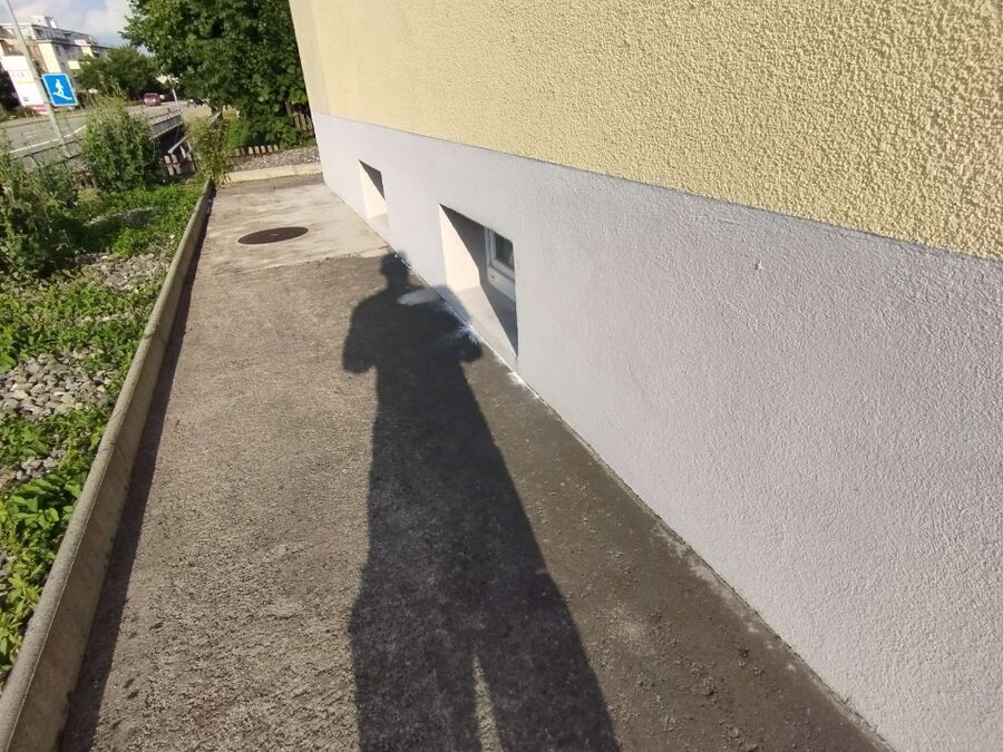 ameisen_vertreiben_bekaempfen_entfernen