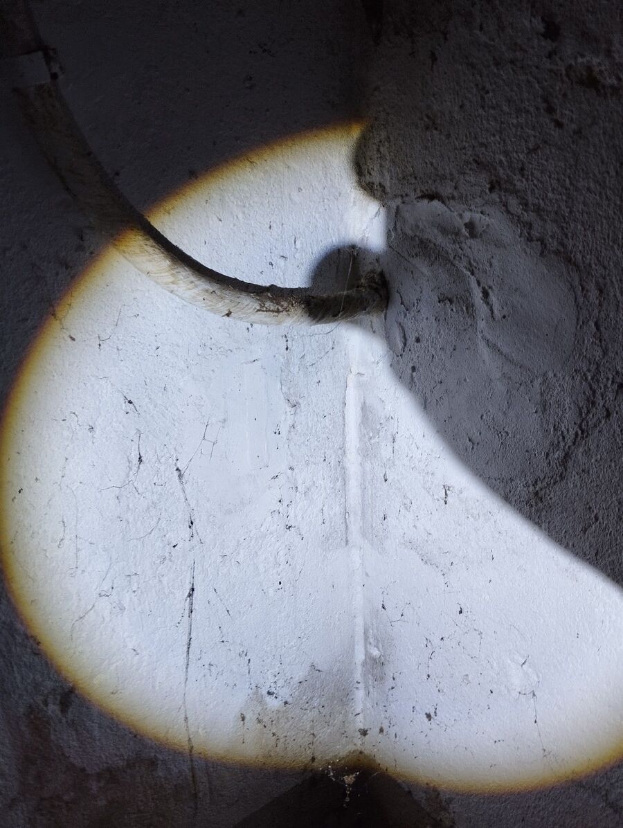 ameisen_vertreiben_bekaempfen_entfernen