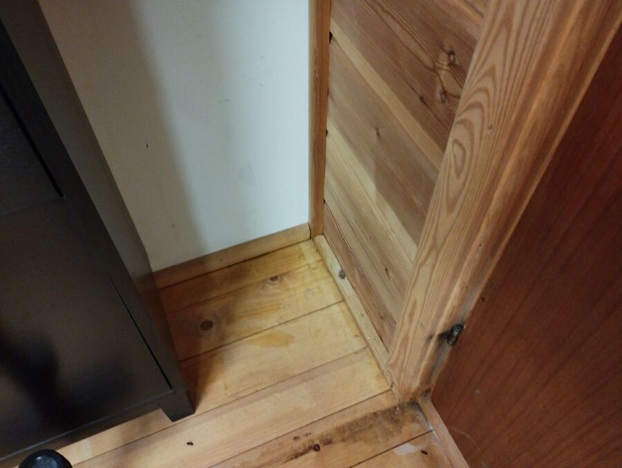 ameisen_vertreiben_bekaempfen_entfernen