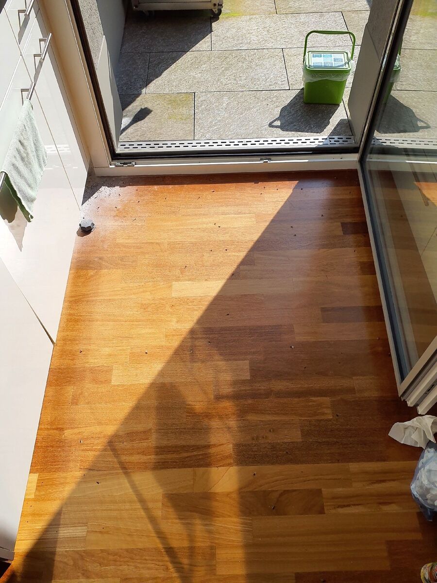 ameisen_vertreiben_bekaempfen_entfernen