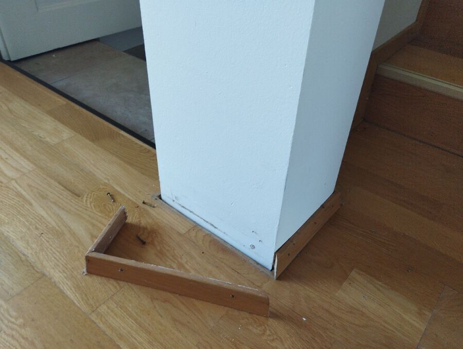 ameisen_vertreiben_bekaempfen_entfernen