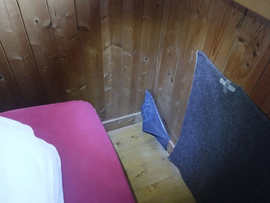 ameisen_vertreiben_bekaempfen_entfernen