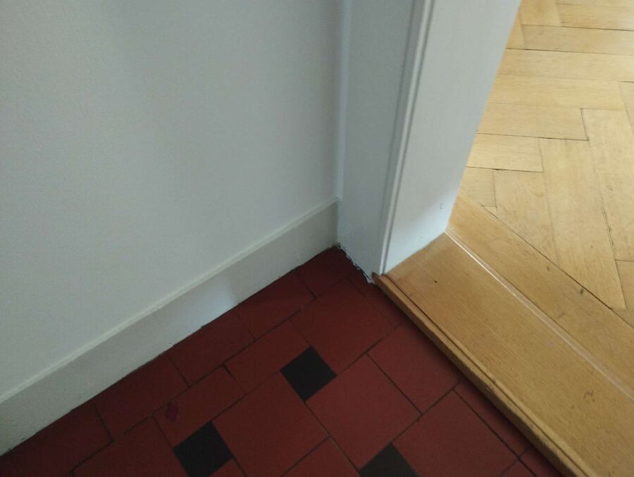 ameisen_vertreiben_bekaempfen_entfernen