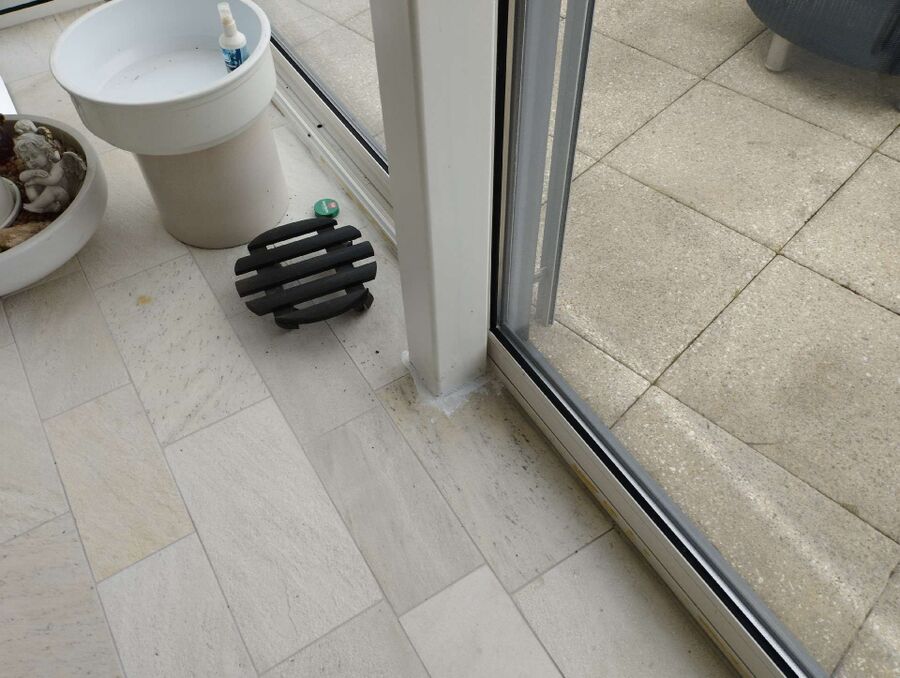 ameisen_vertreiben_bekaempfen_entfernen