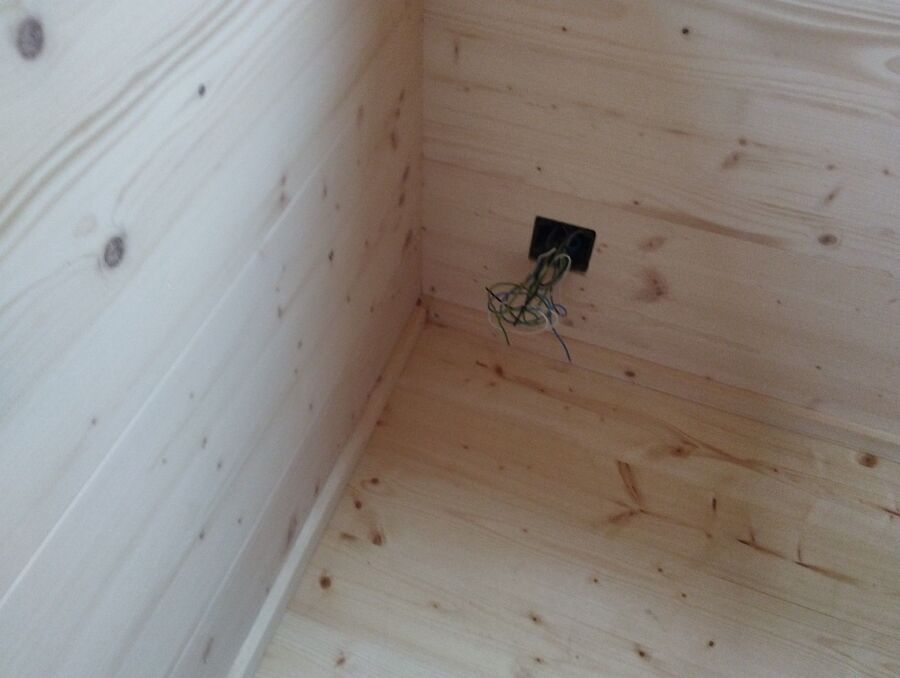 ameisen_vertreiben_bekaempfen_entfernen