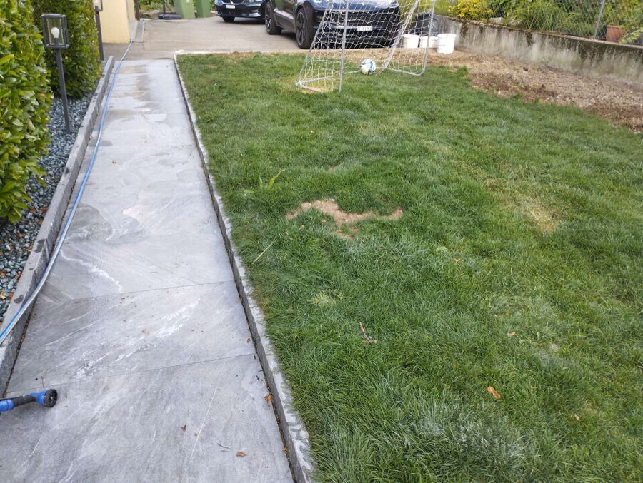 ameisen_vertreiben_bekaempfen_entfernen