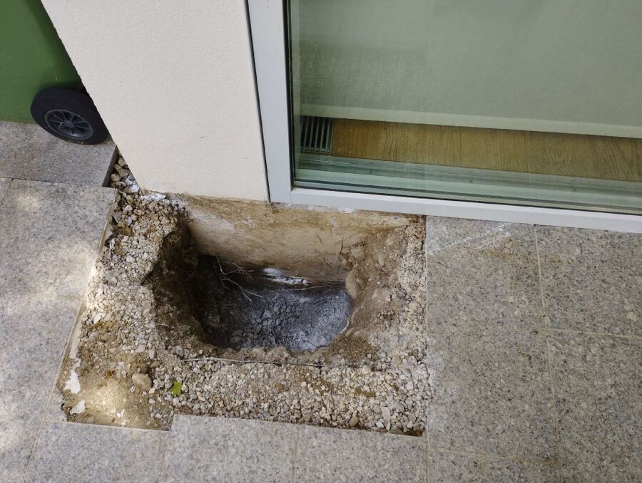 ameisen_vertreiben_bekaempfen_entfernen