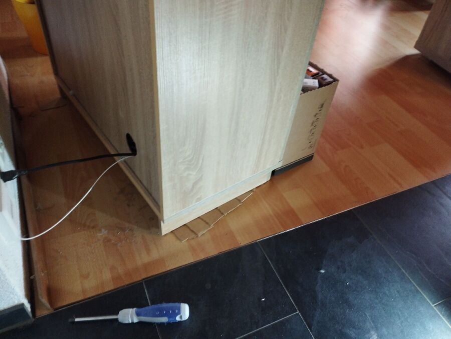 ameisen_vertreiben_bekaempfen_entfernen