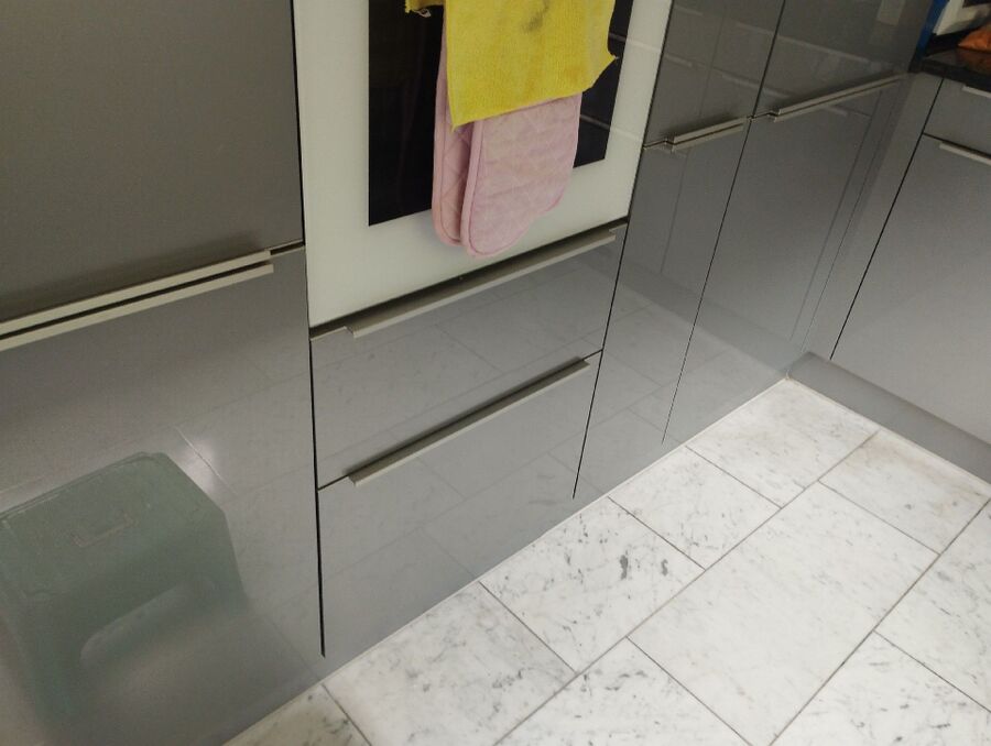 ameisen_vertreiben_bekaempfen_entfernen