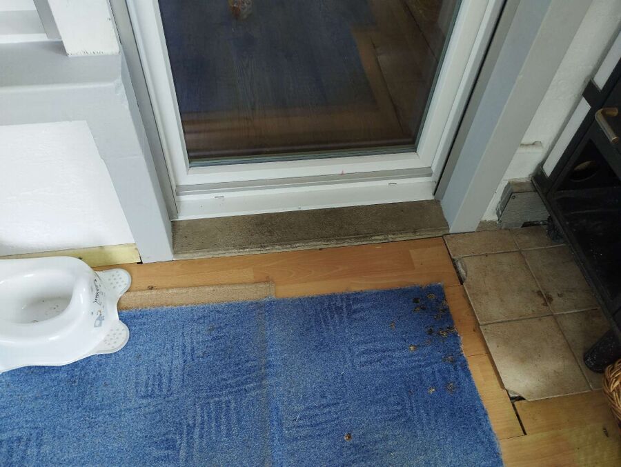 ameisen_vertreiben_bekaempfen_entfernen